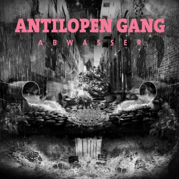 Cover Leben eines Rappers
