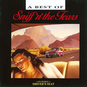 Cover Driver's Seat